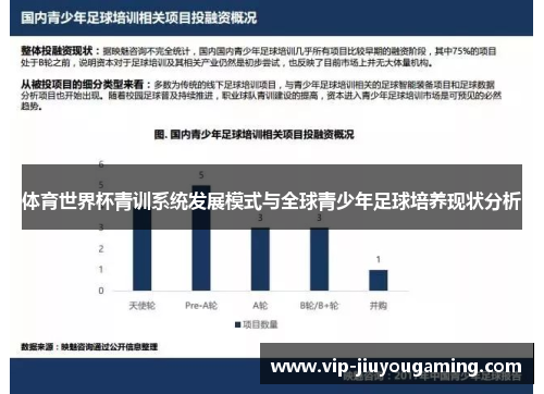 体育世界杯青训系统发展模式与全球青少年足球培养现状分析