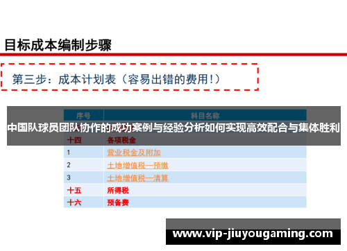 中国队球员团队协作的成功案例与经验分析如何实现高效配合与集体胜利