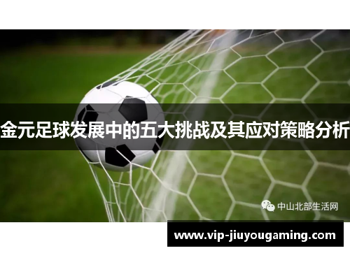 金元足球发展中的五大挑战及其应对策略分析