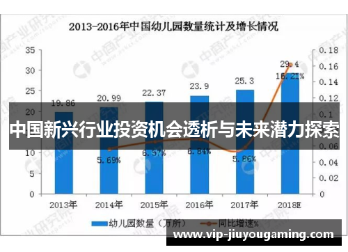 中国新兴行业投资机会透析与未来潜力探索