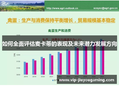 如何全面评估麦卡蒂的表现及未来潜力发展方向