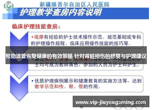 帮助波普恢复健康的有效策略 针对肾脏损伤的修复与护理建议