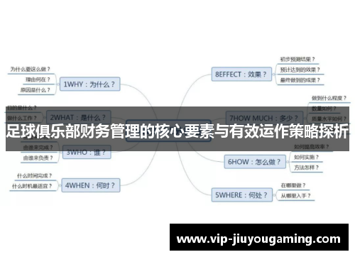 足球俱乐部财务管理的核心要素与有效运作策略探析