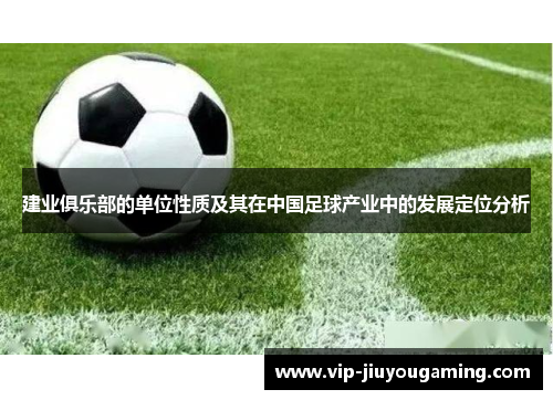 建业俱乐部的单位性质及其在中国足球产业中的发展定位分析